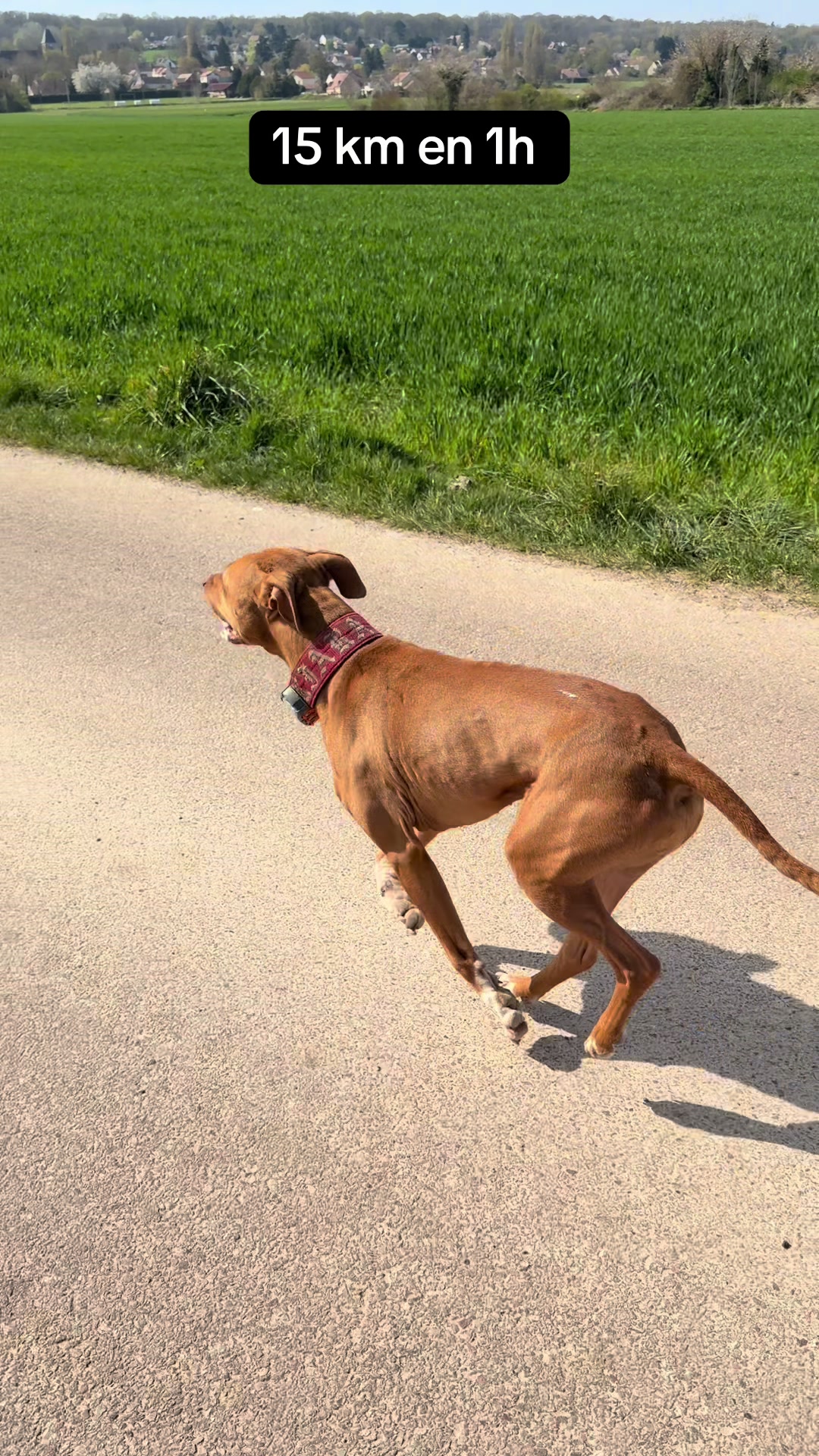 @kiara_isis_apbt