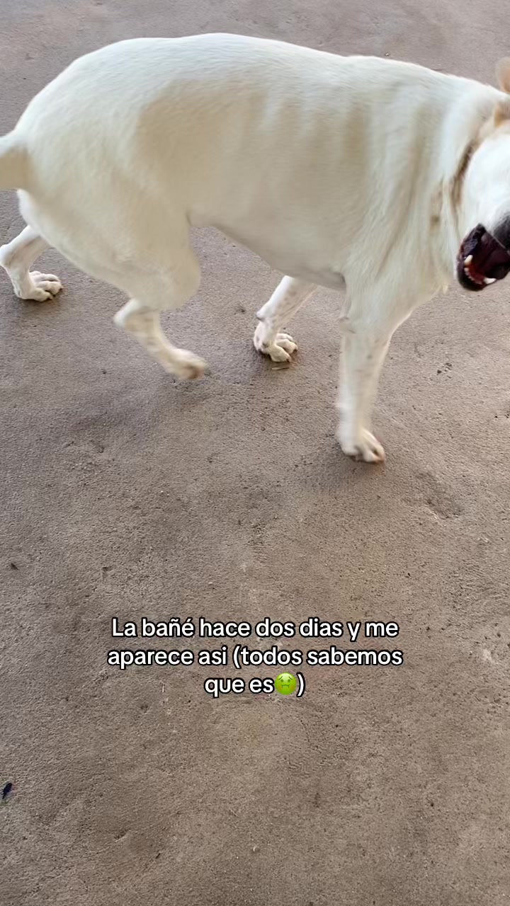 @Luci cajera 🍀🤑