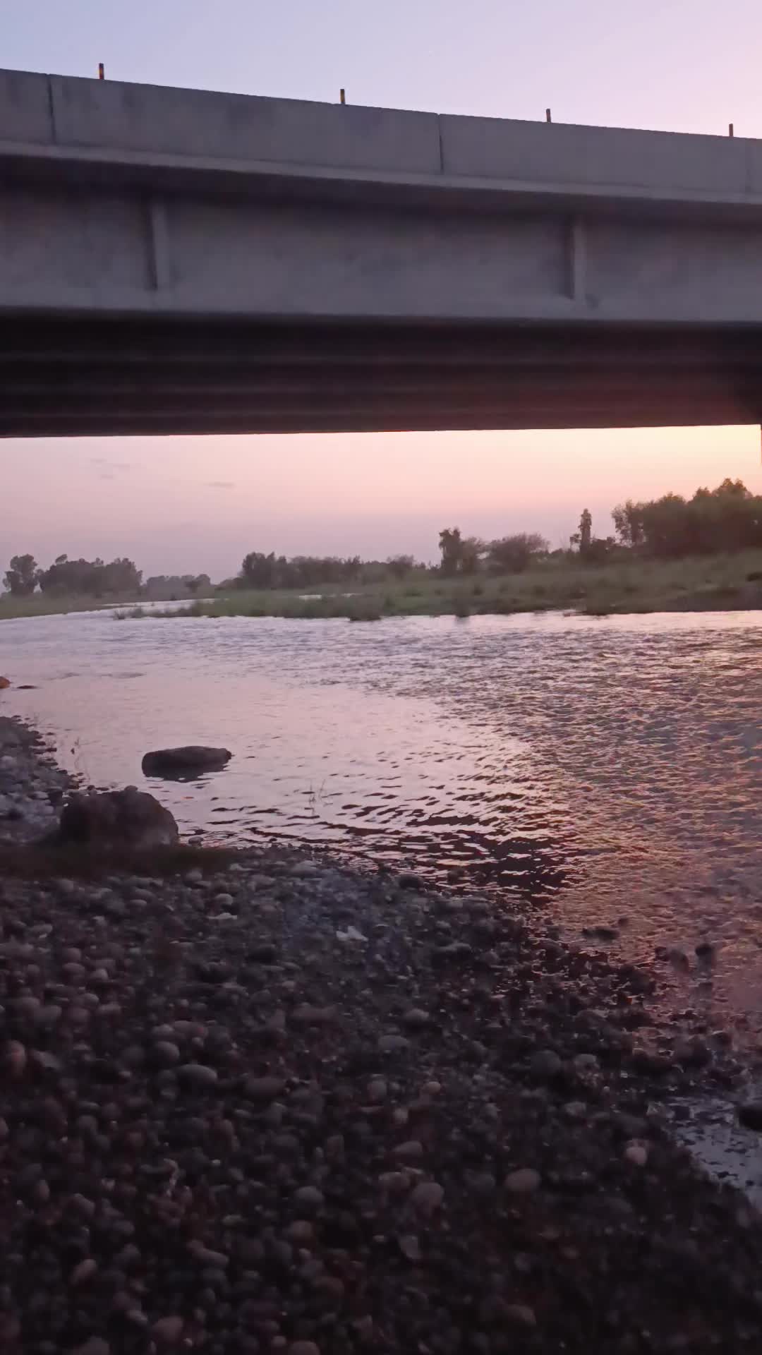 @شایان شاھ 💖