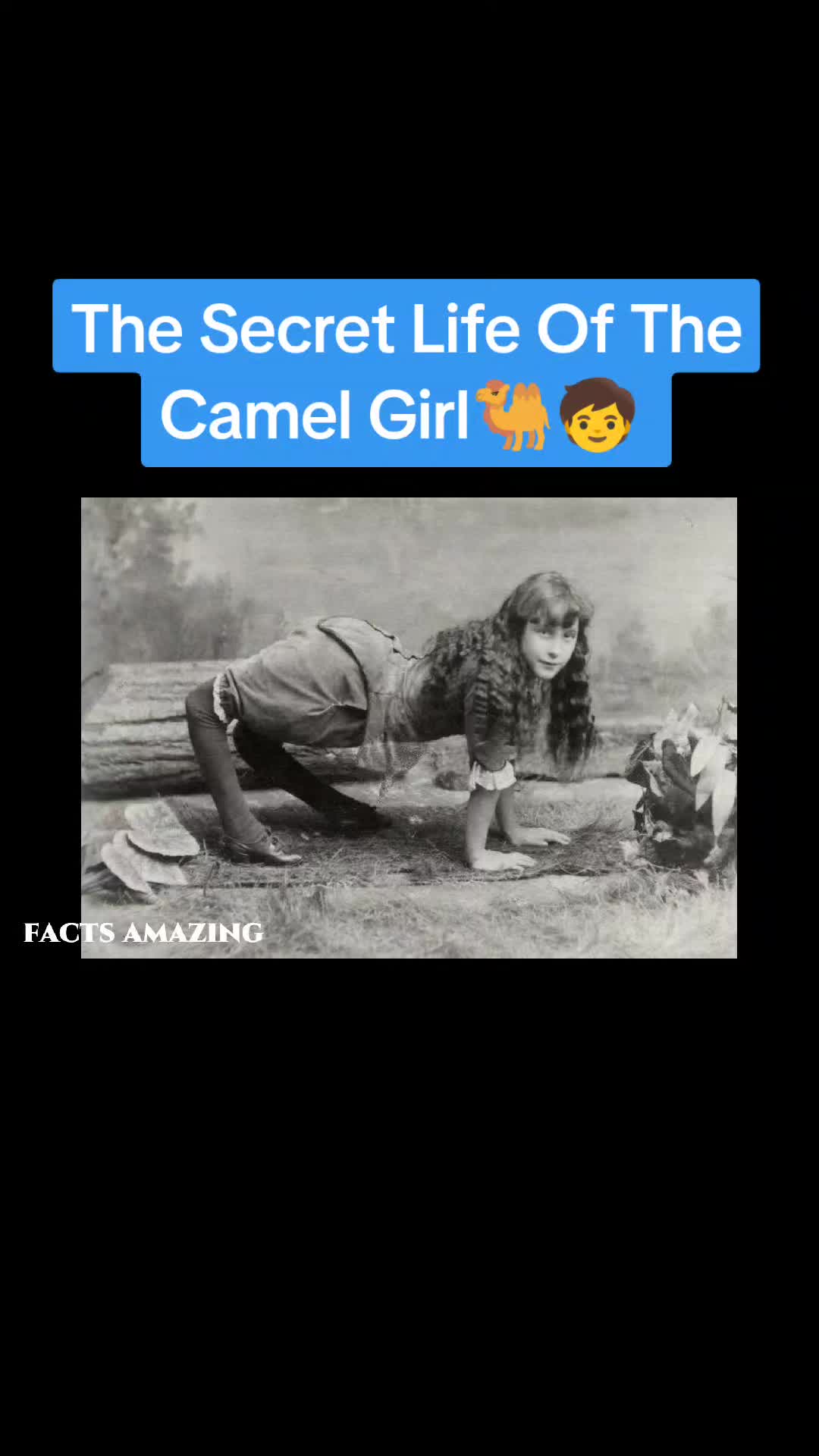 @🌏Facts Amazing🌍