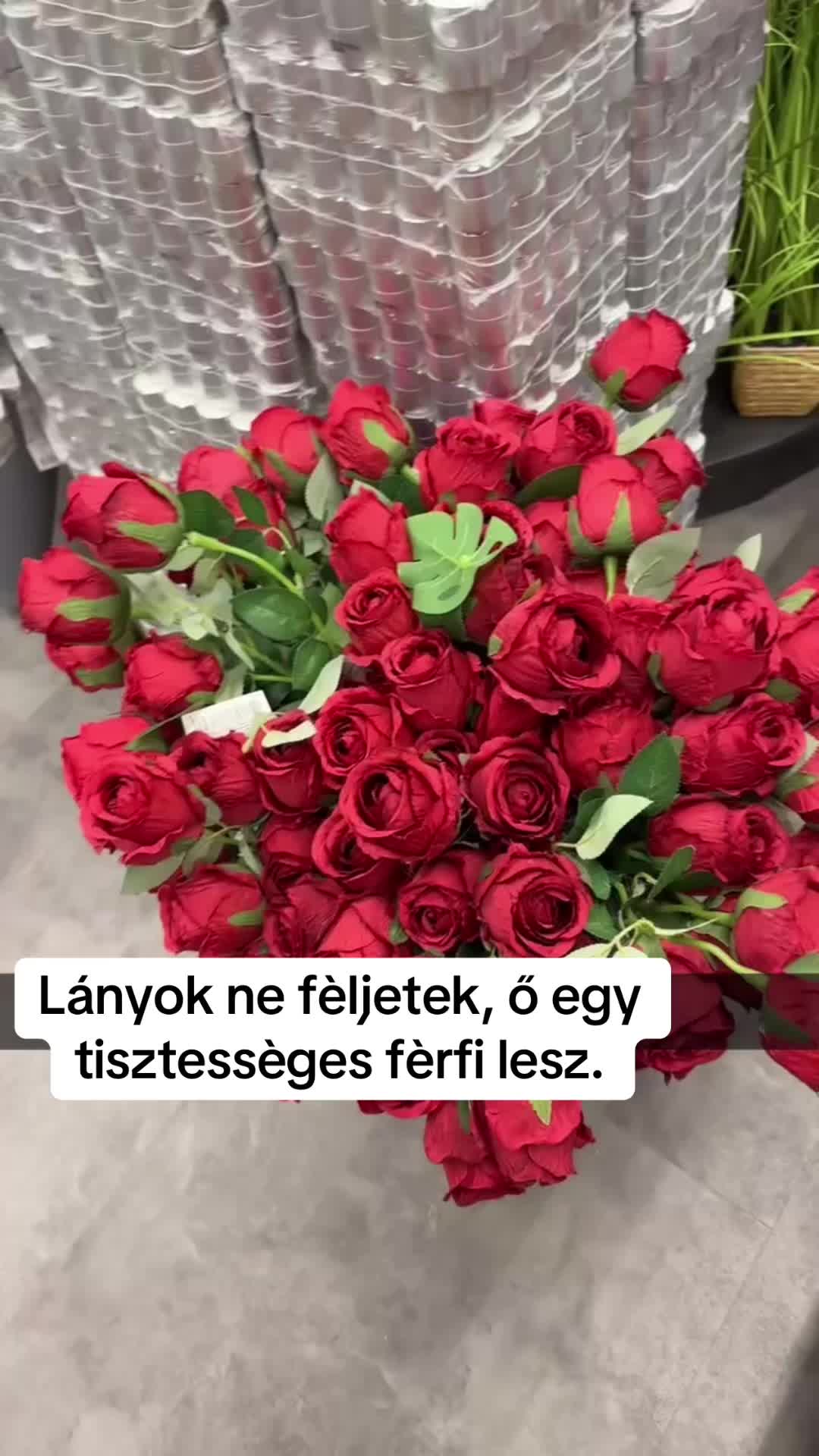 @Hanncs
