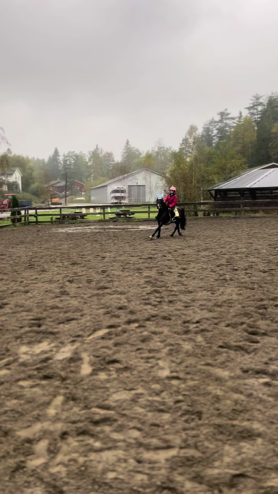 @Equi_…