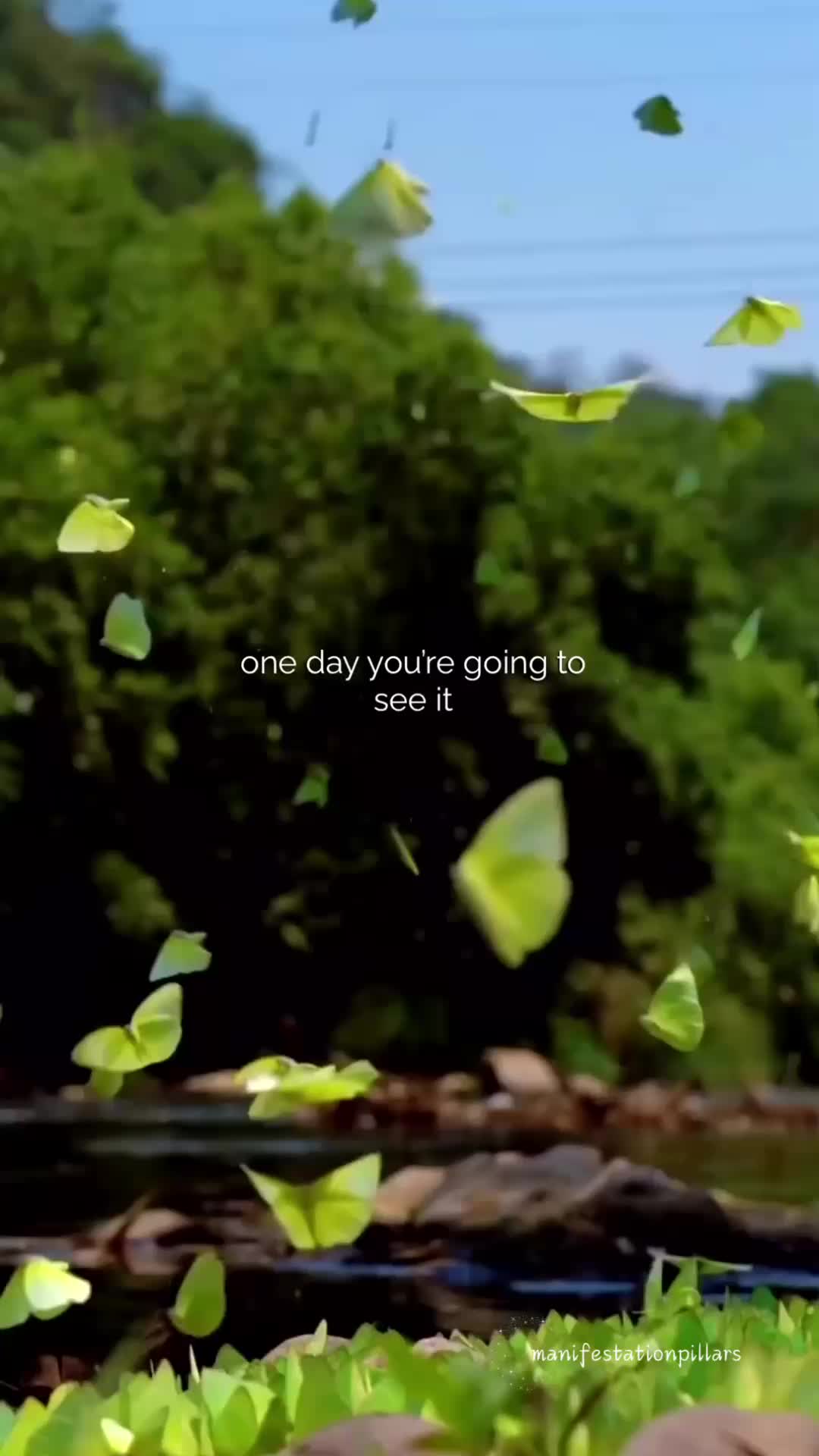 @Manifestation_Pillars