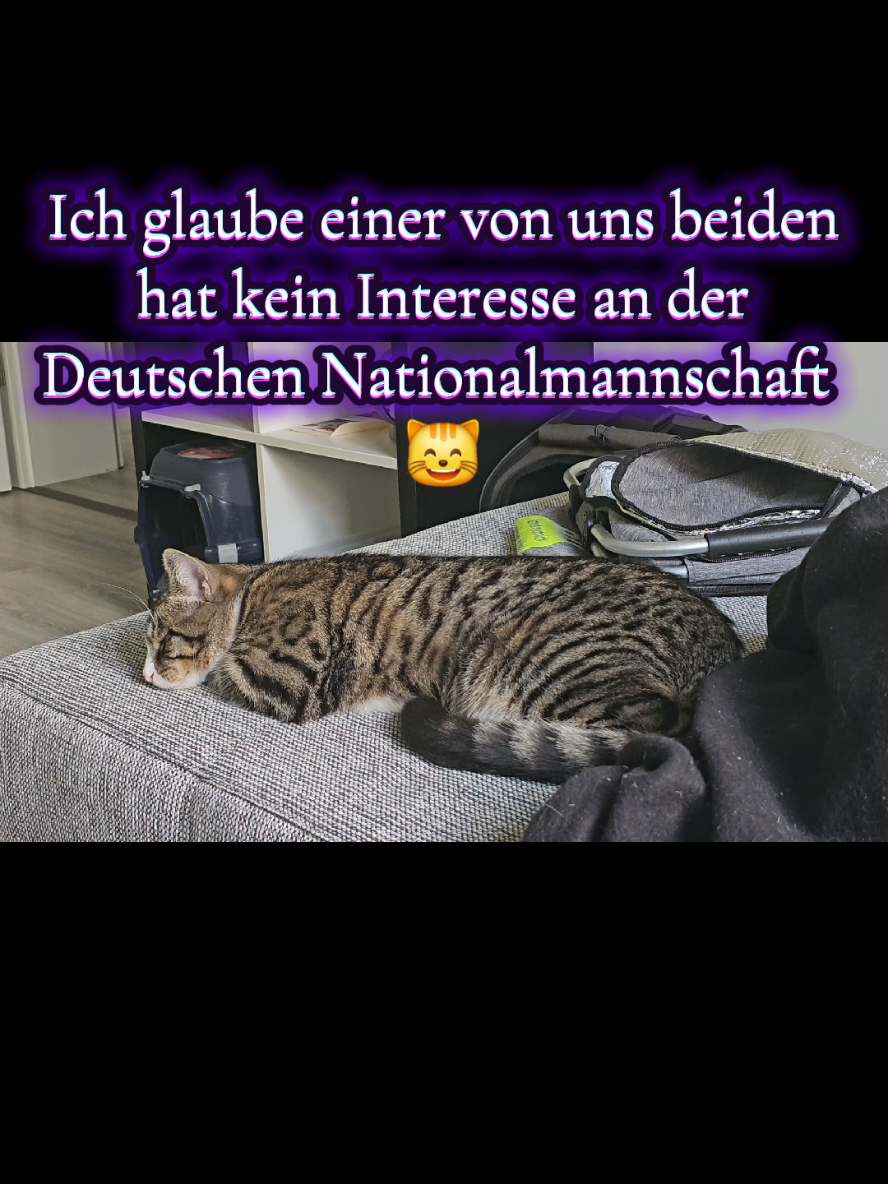 @Ludwig
