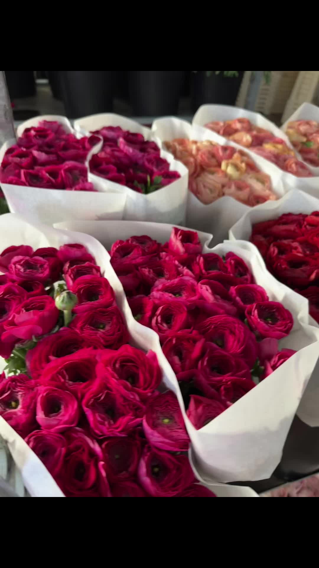 @Casconefiori