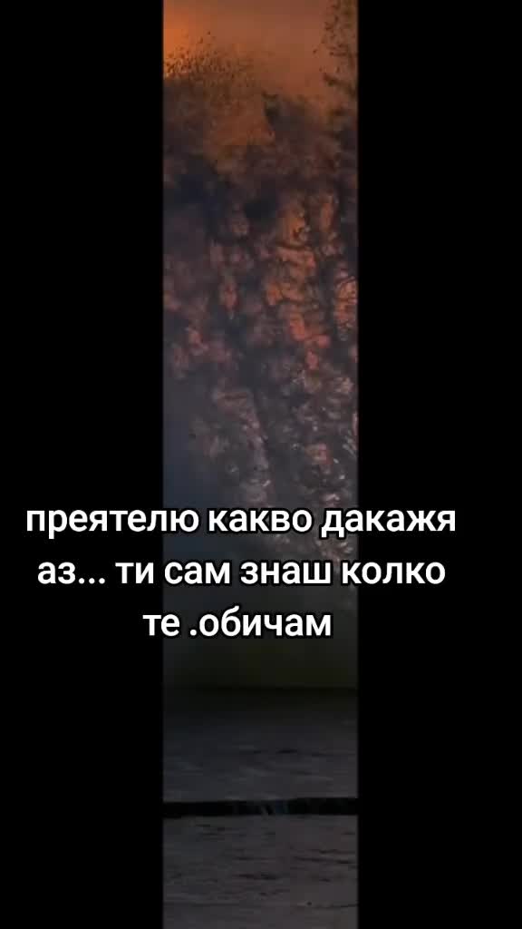 @aleksandar
