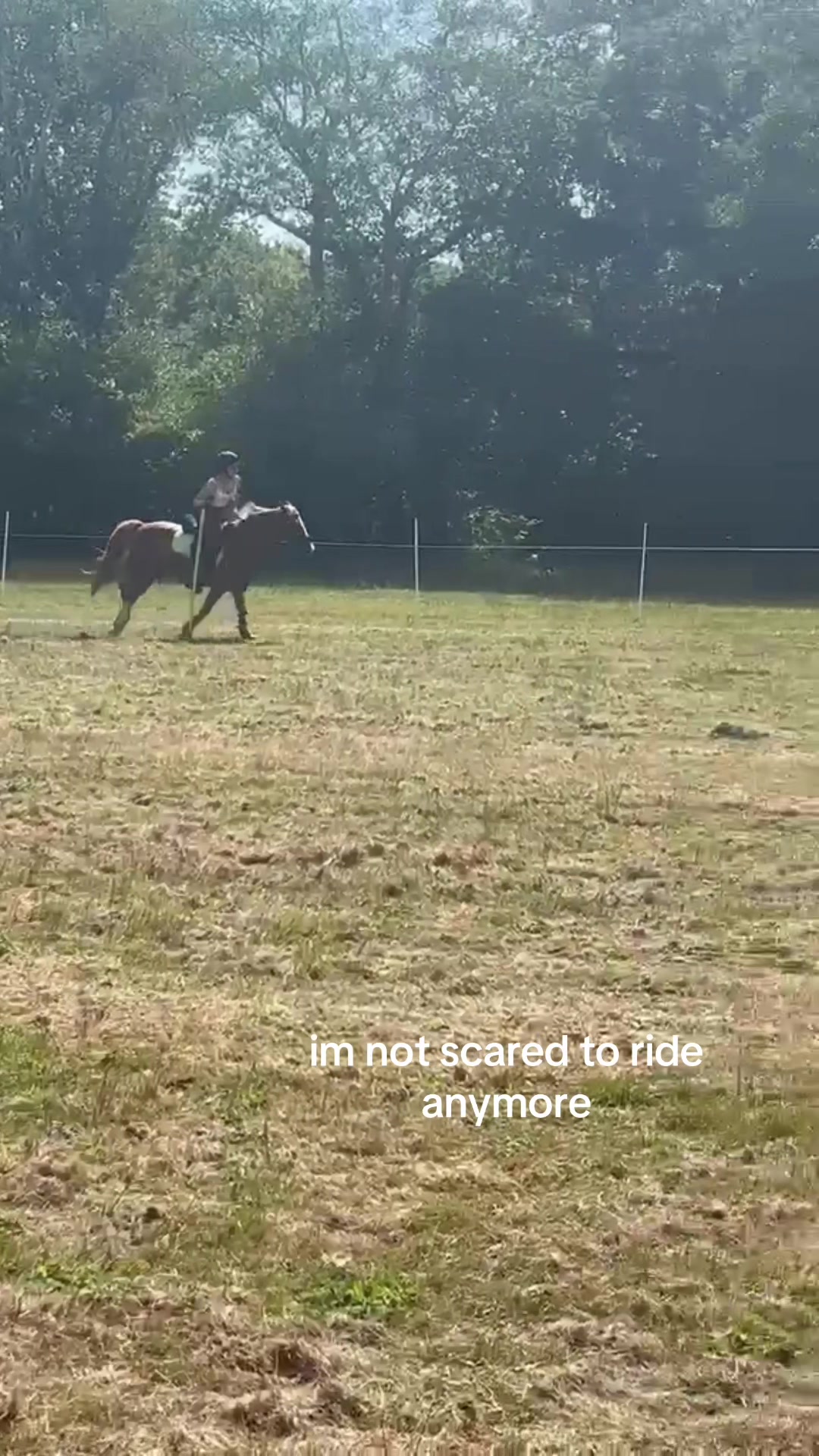 @shelbyshorseaccount