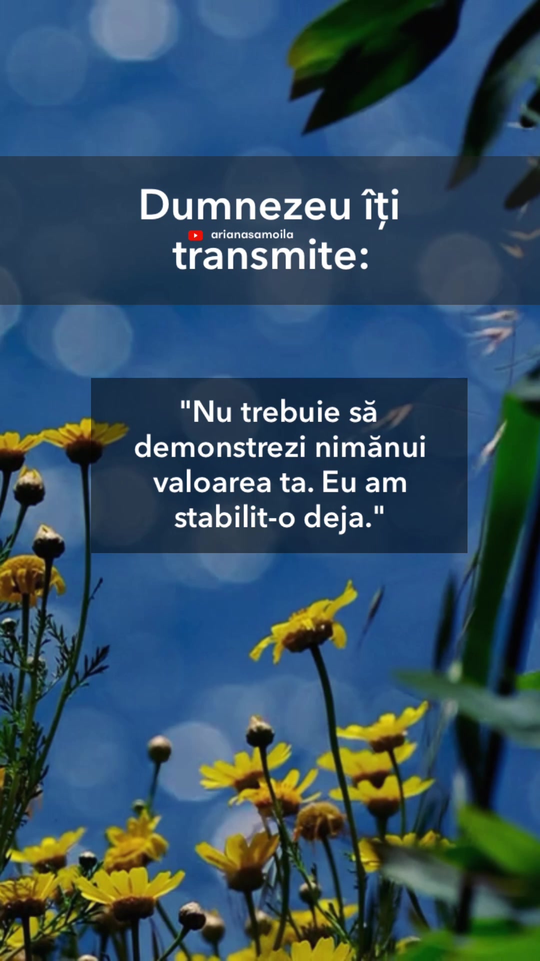 @Ariana Samoilă