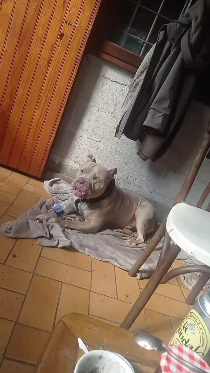 @mariospychophates