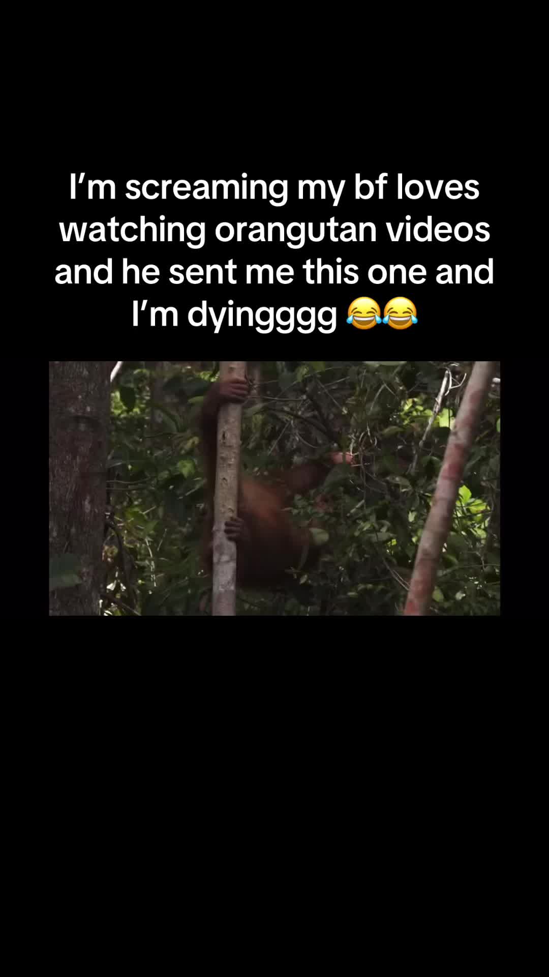 @staciielauraa