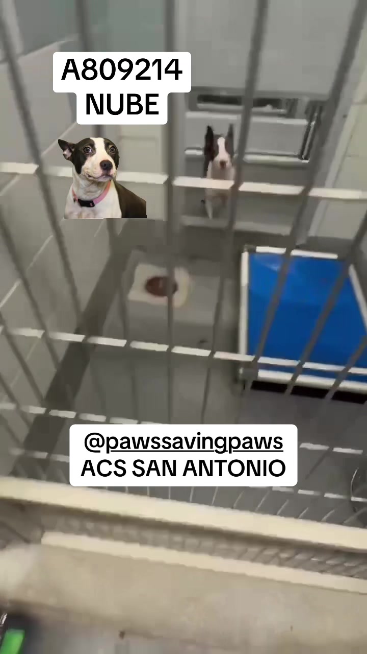 @๐ @stickwithdave