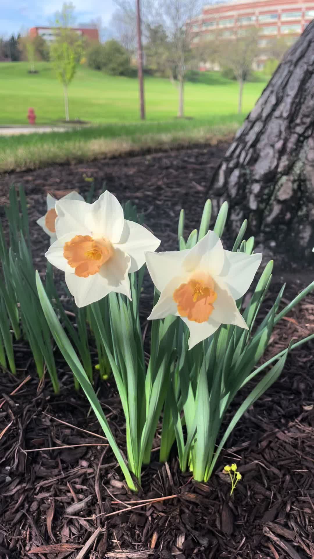 @𝓢𝓾𝓼𝓪𝓷𝓪🧿☘️🍀
