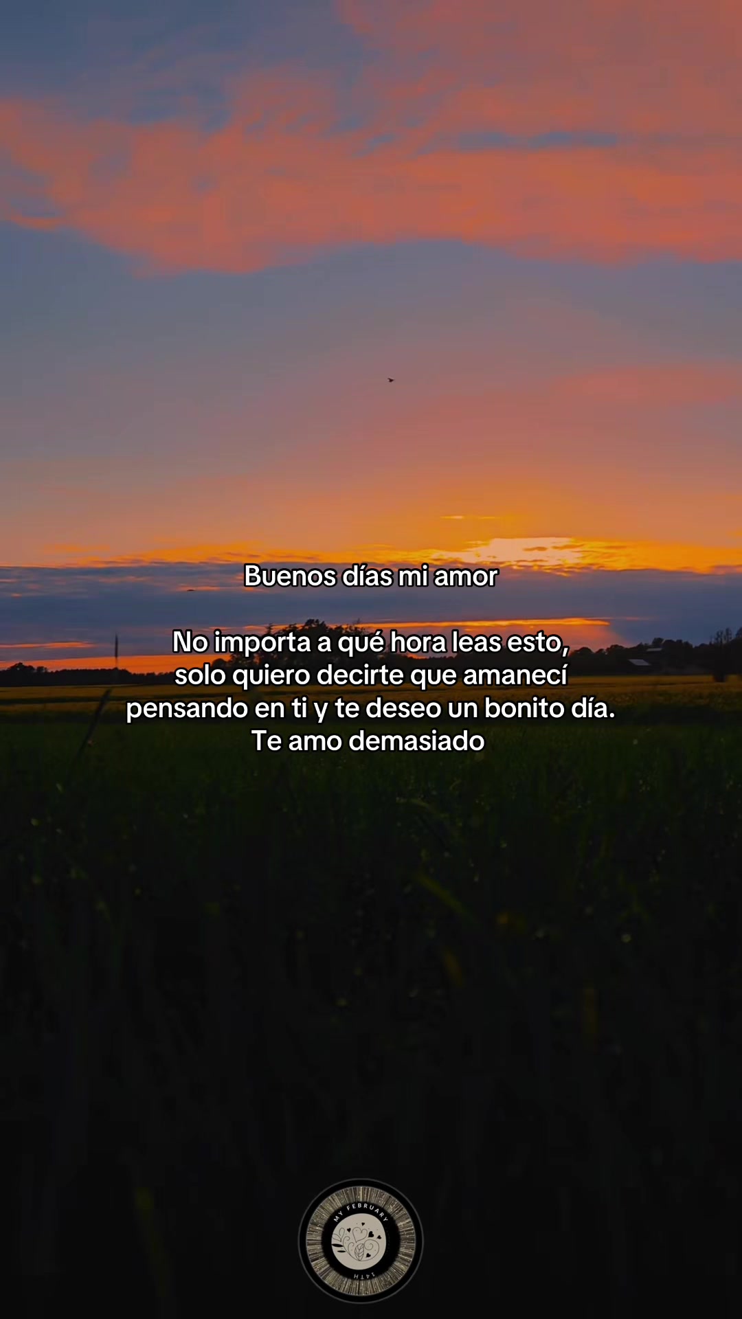 @myfebruary14