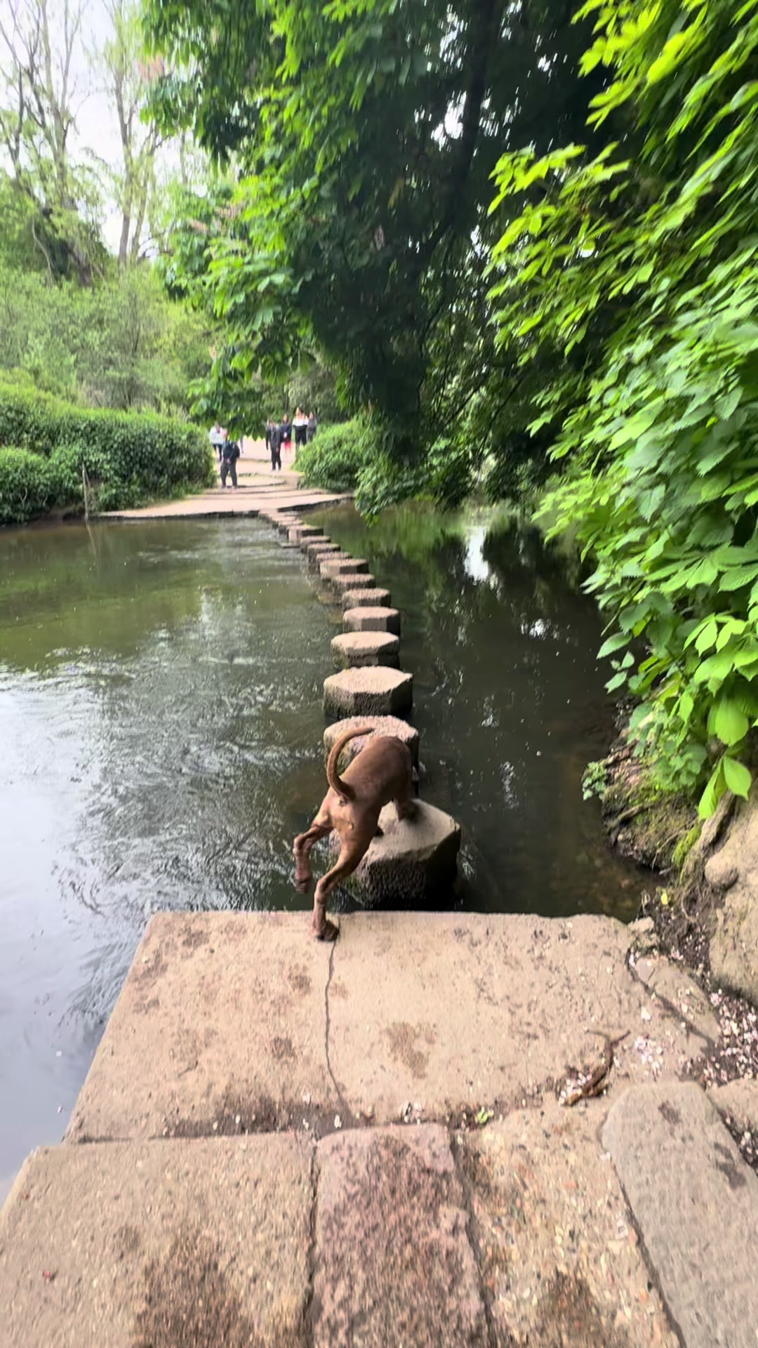 @Chicocanecorso