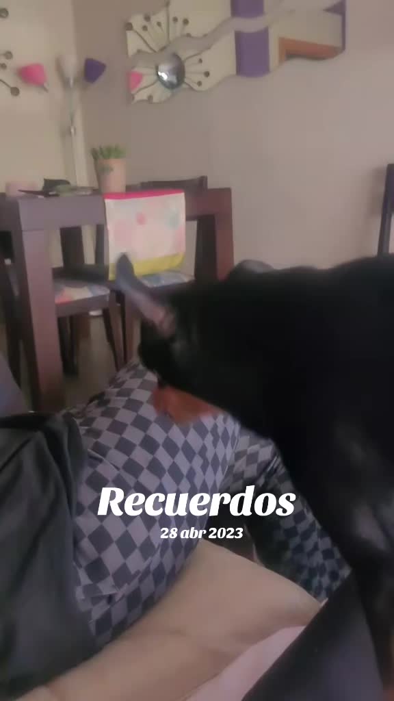@tempanodehieloo🖤
