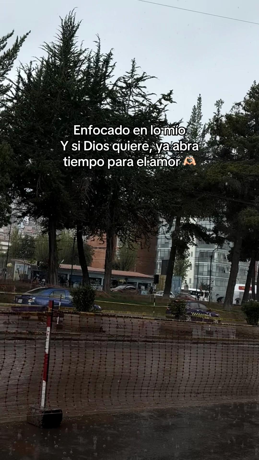 @dani_david