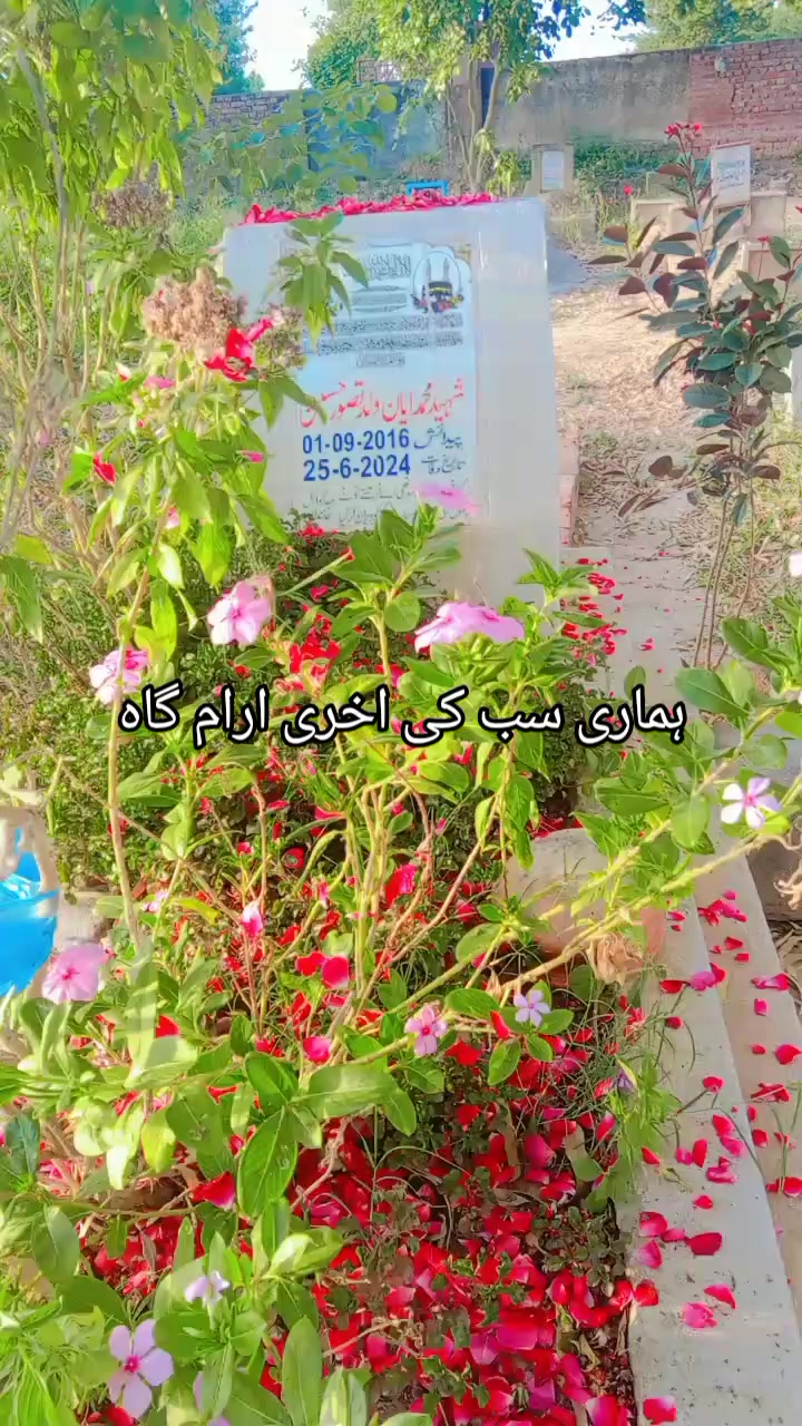@Mohammad ayaan🌹❤️
