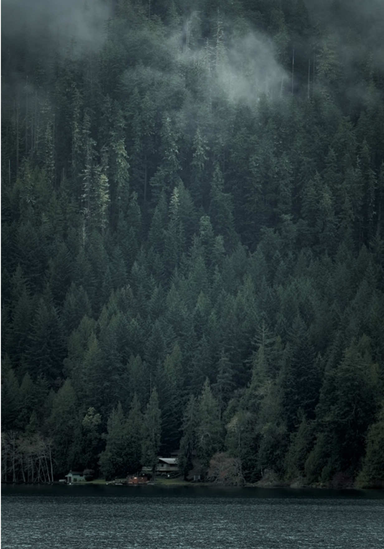 @Jordan PNW Adventures