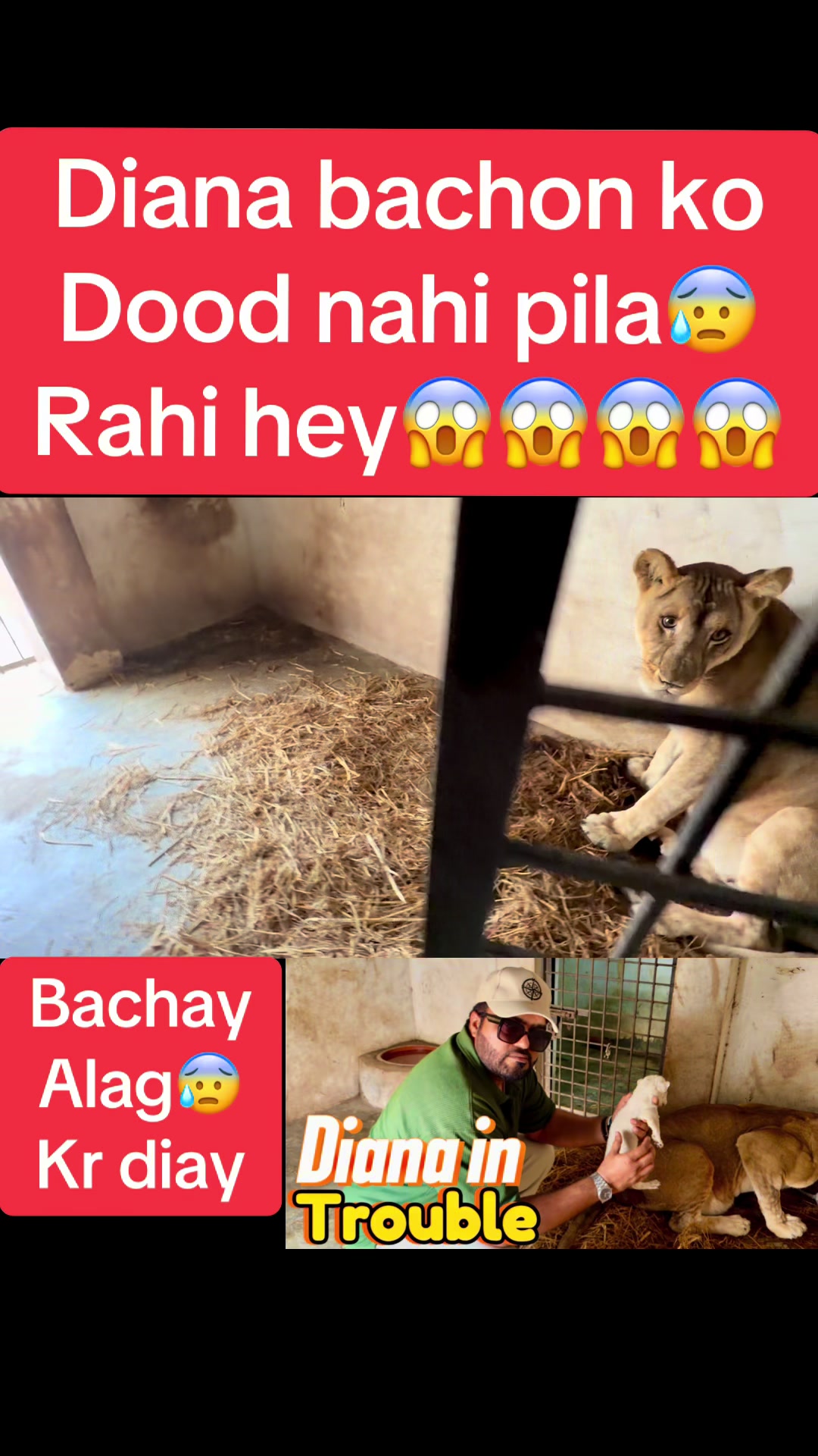 @Mian saqib