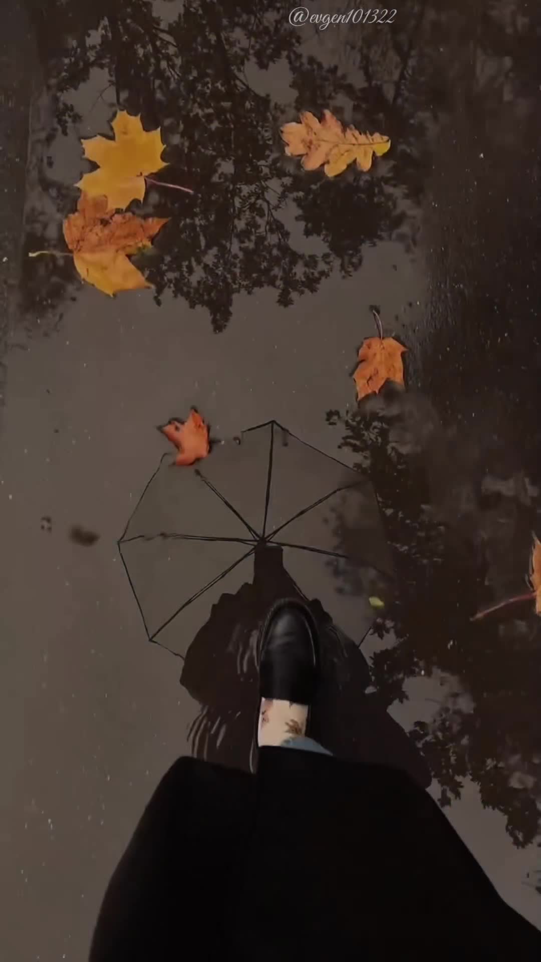@♨𝙀𝙫𝙜𝙚𝙣𝙞𝙮22