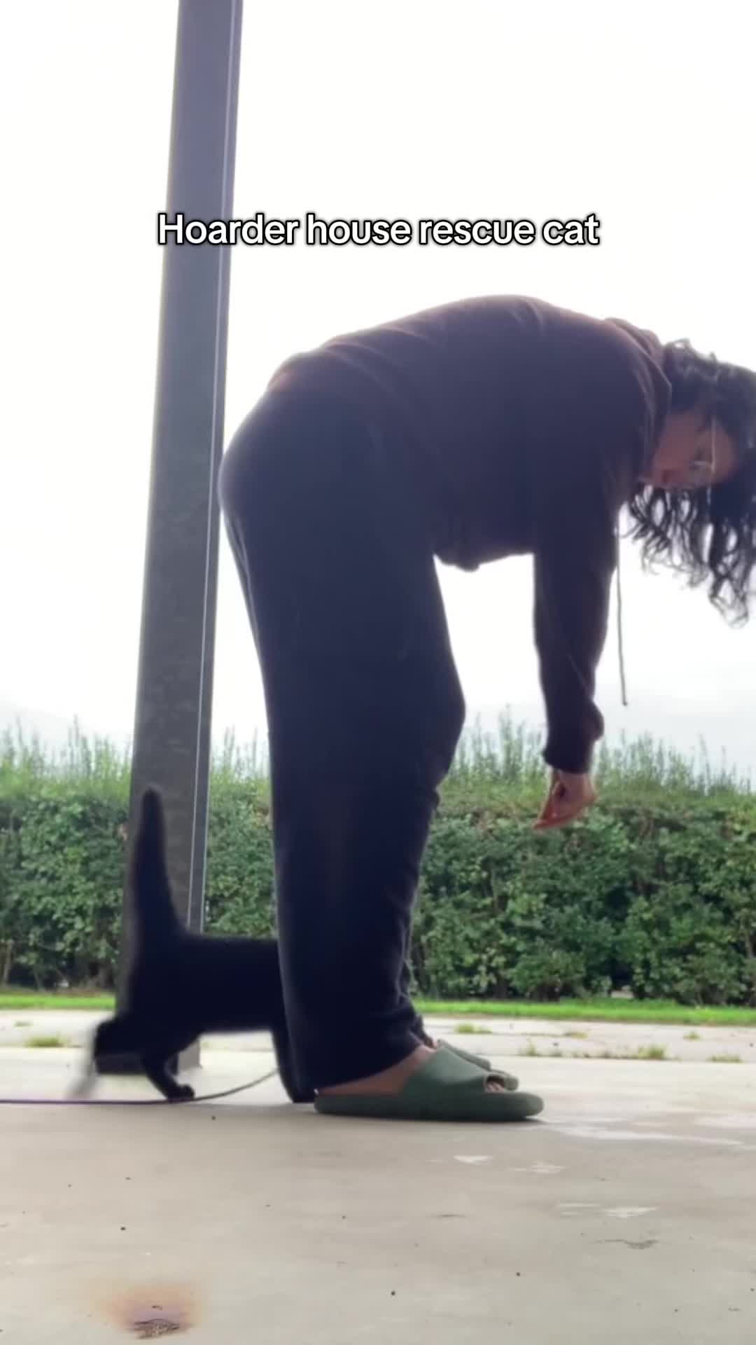 @Evy • Balance for Paws