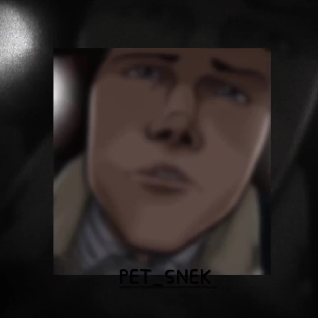 @petsnek