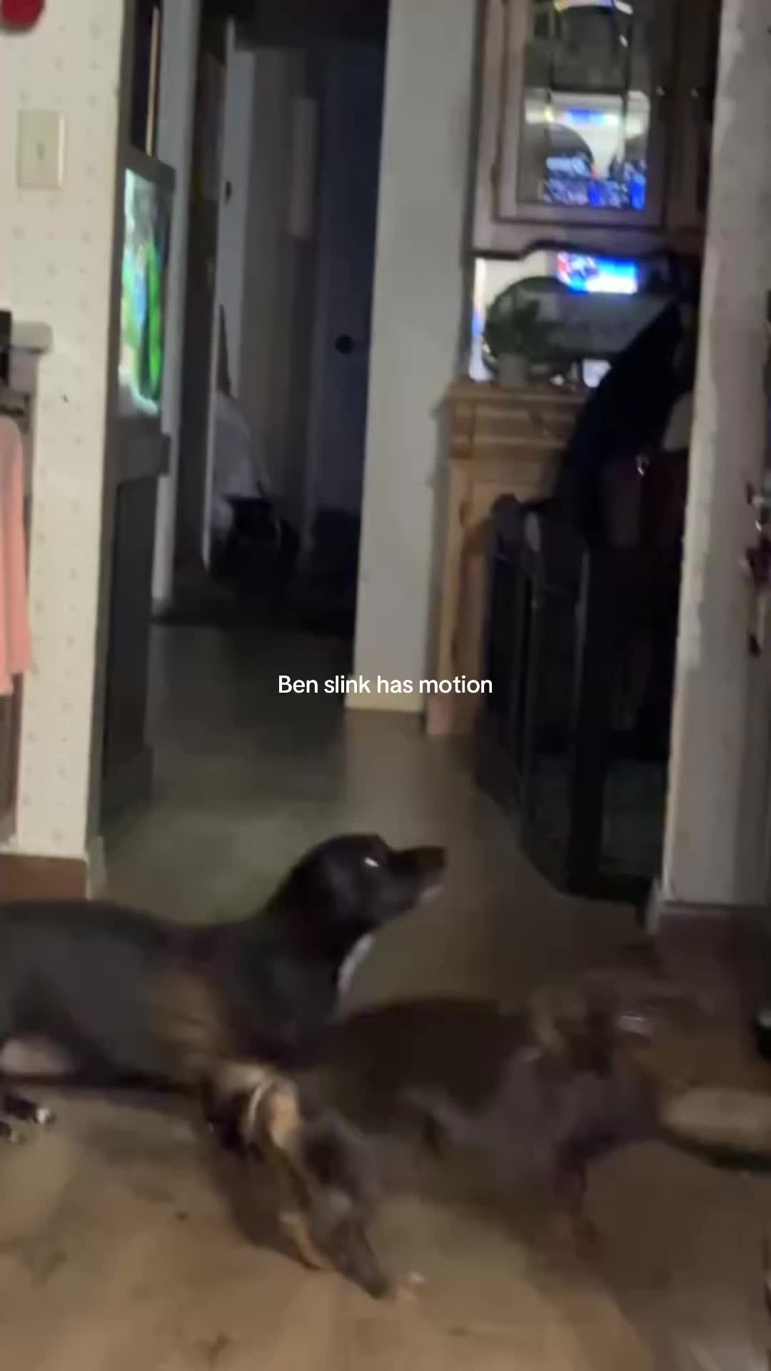 @BenSlinkdawg