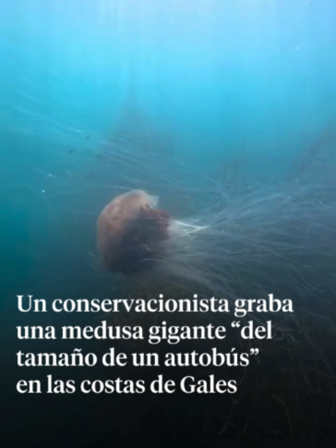@La Vanguardia 🗞
