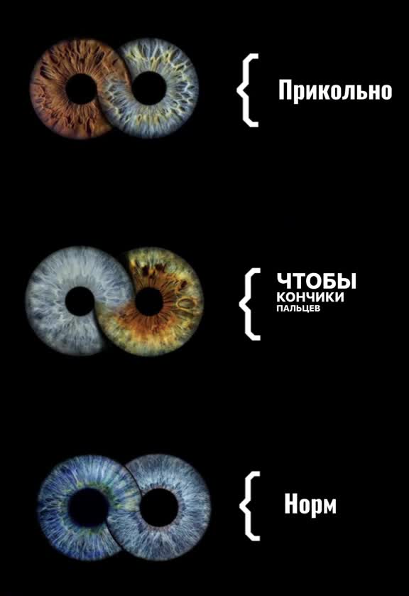 @Чухня