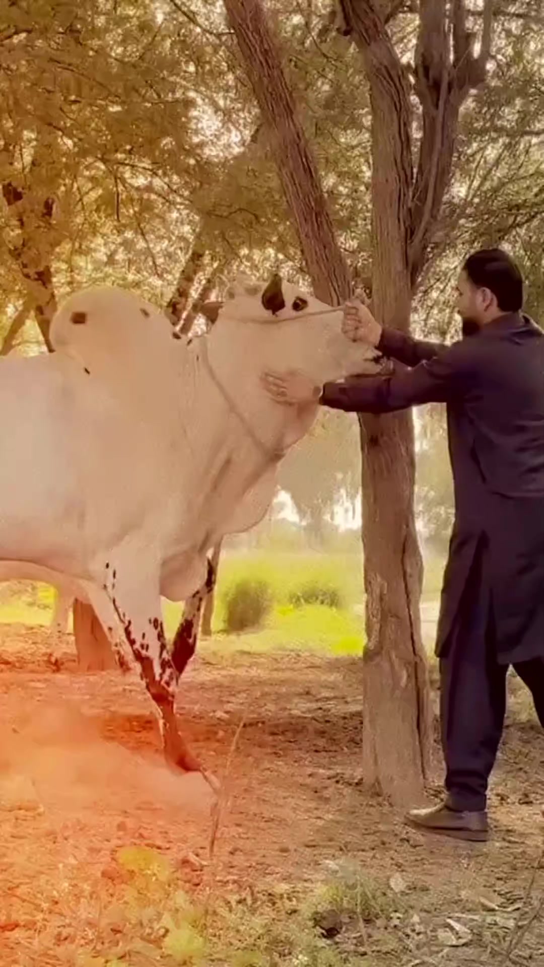 @Sameer._.Raza🤣