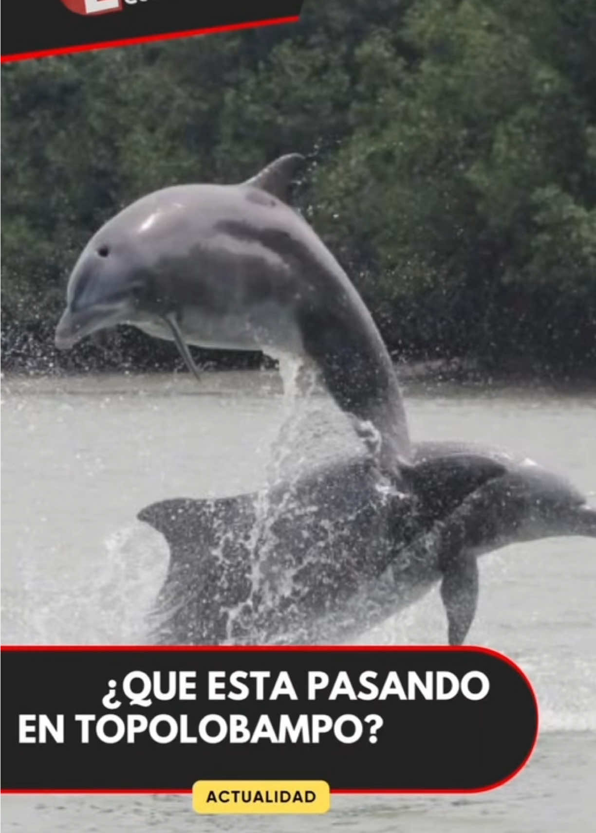 @&Eacute;nfasis Comunicaciones.