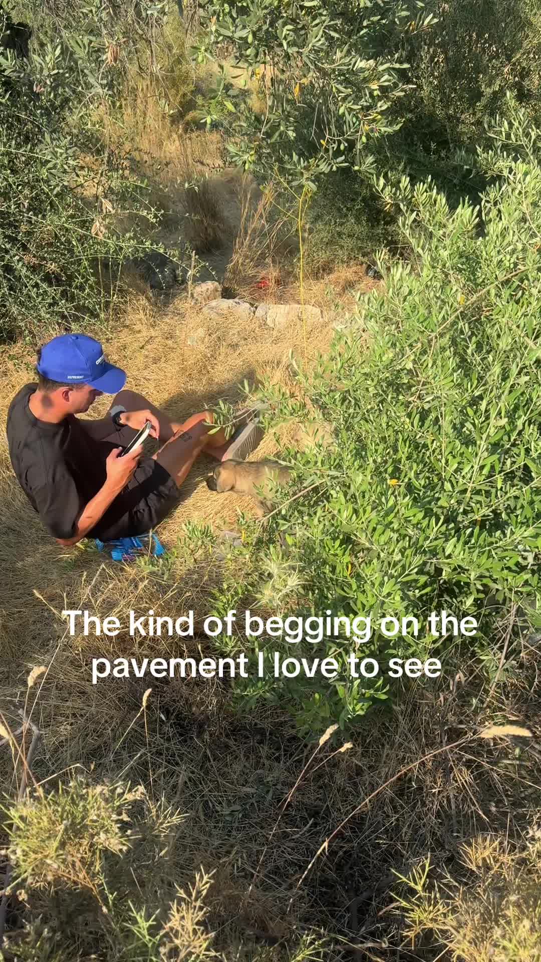@billie