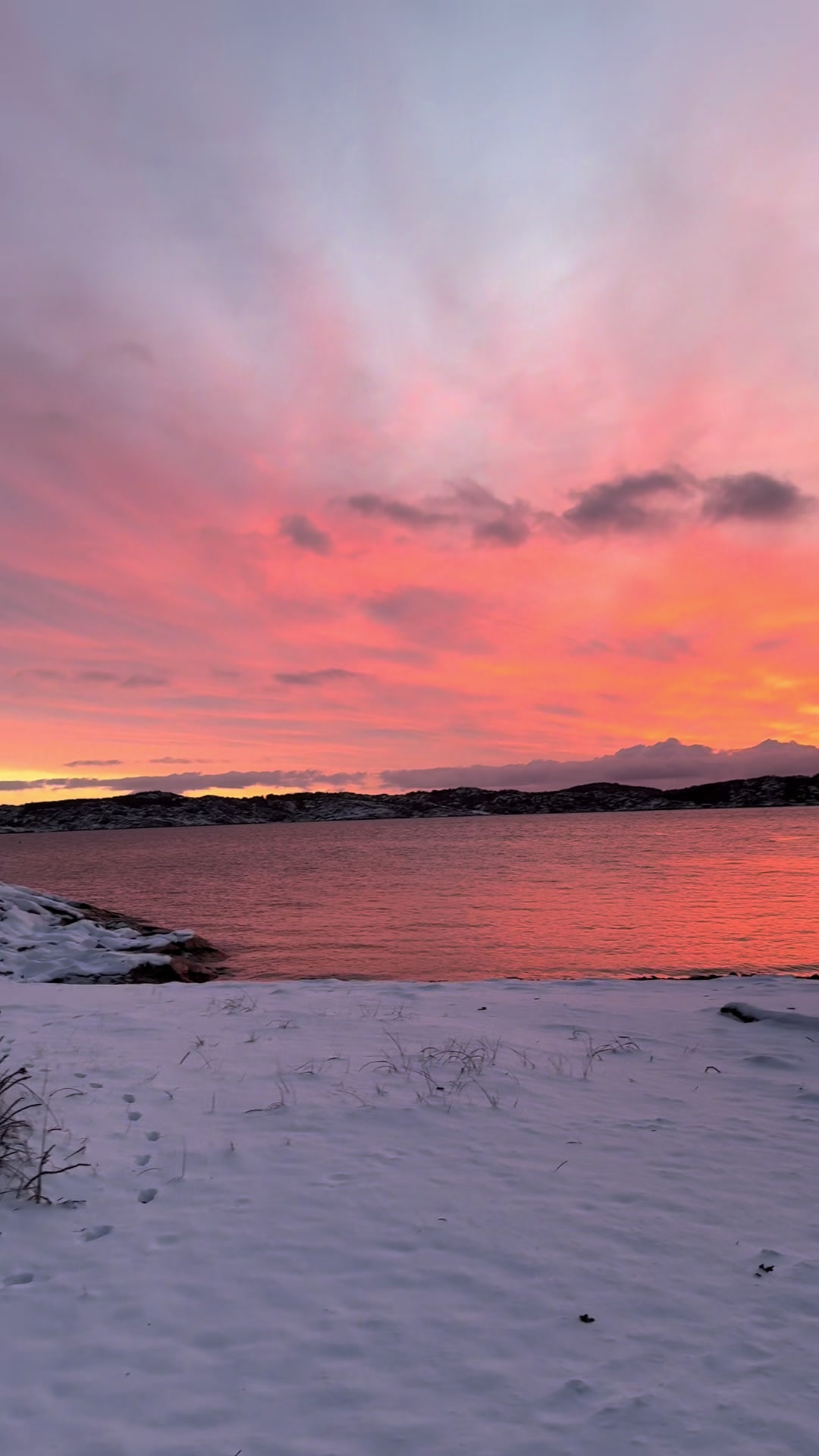 @CarinaWestcoastSweden🇸🇪
