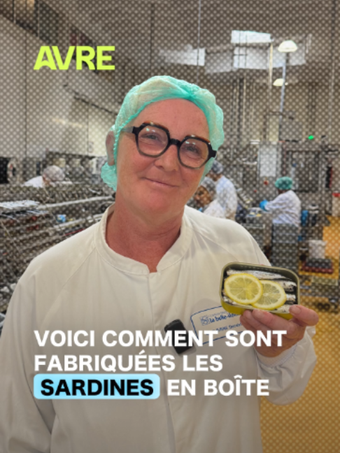 @AVRE