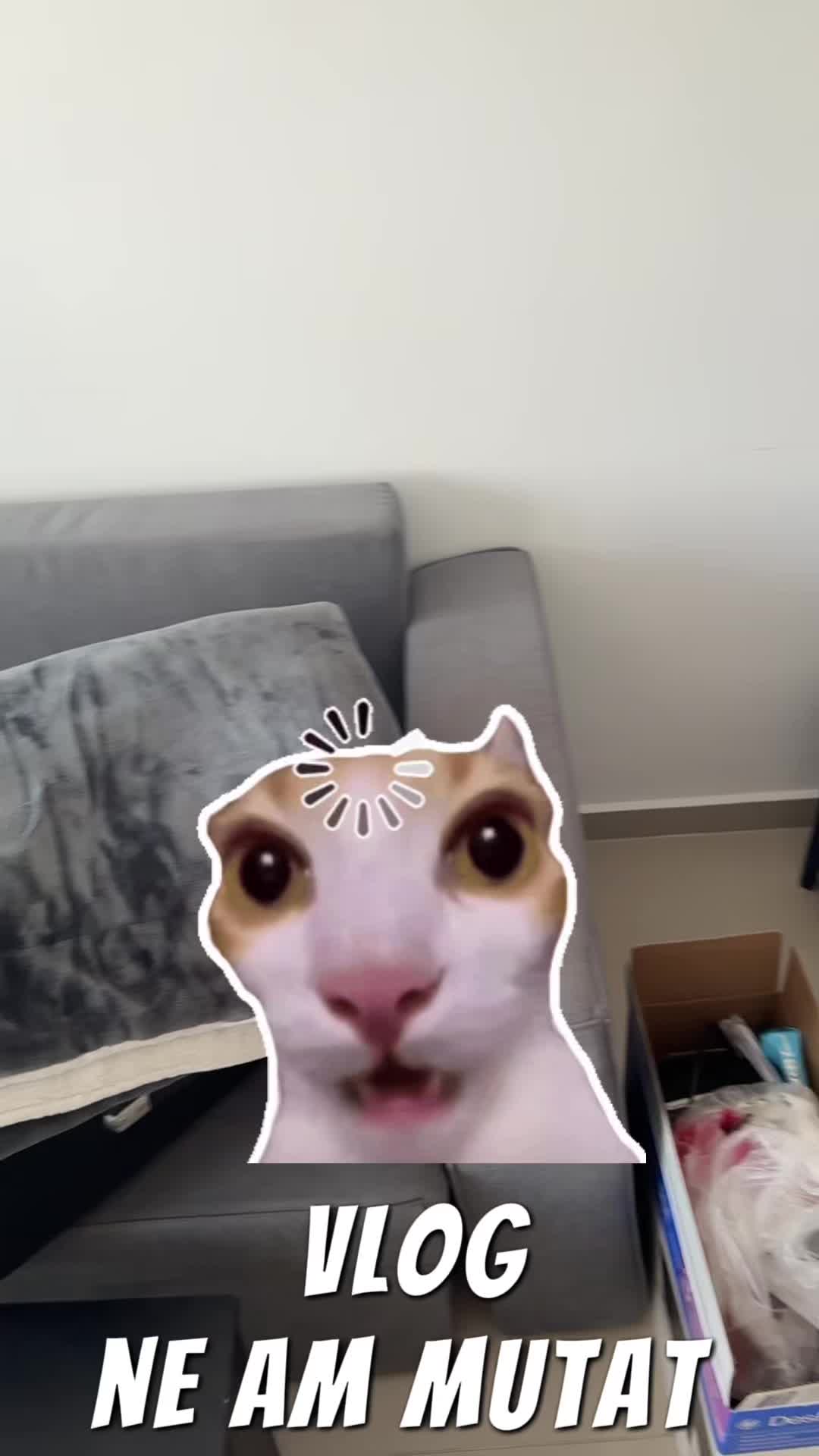 @L9UIZA