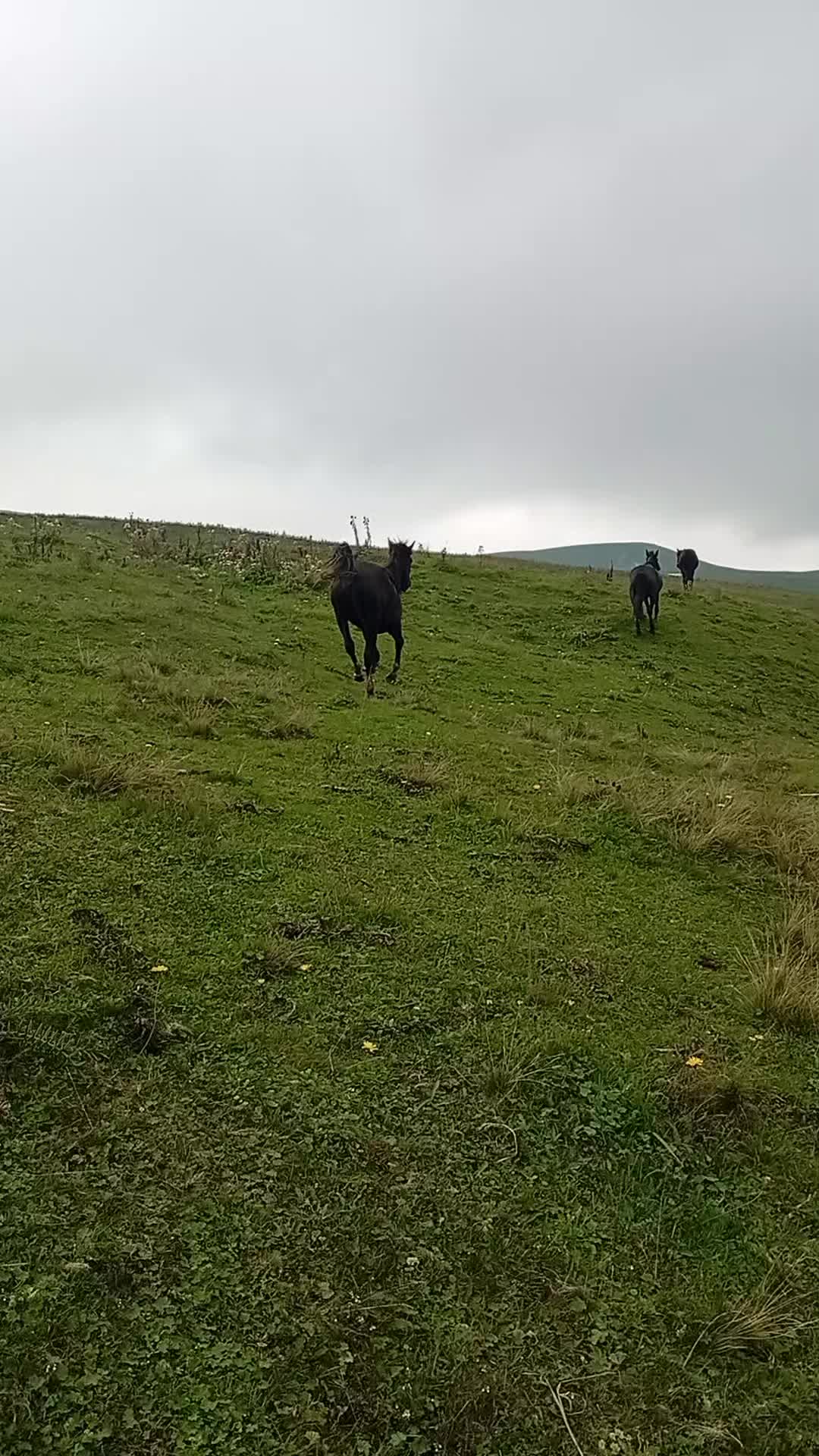 @Վաչե Գևորգյան
