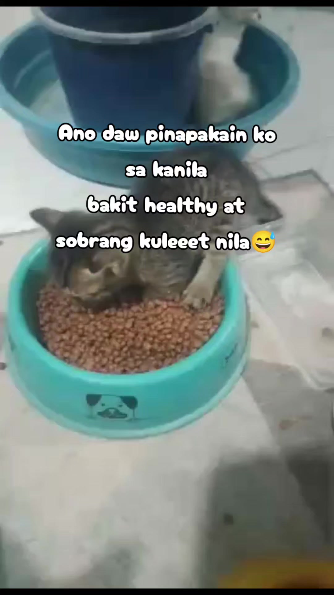 @mommy jhones