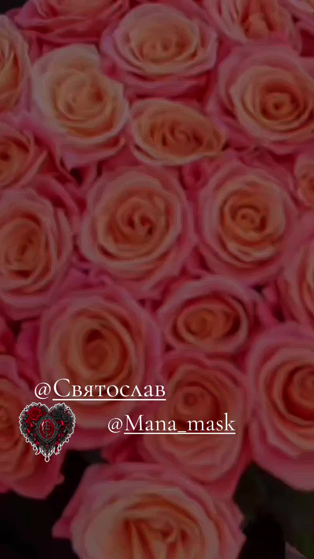 @blurosy Team Святослав🇷🇺❤️