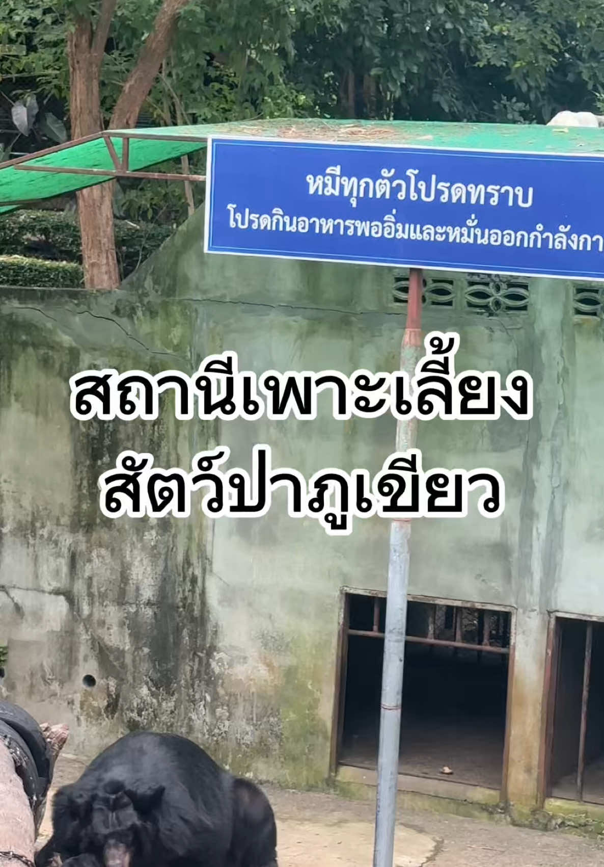 @เบญที่ชอบลุย