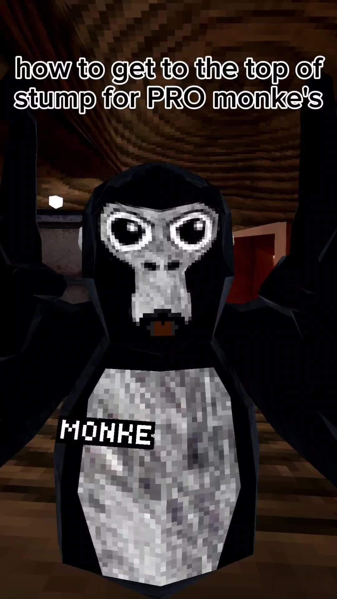 @Monke