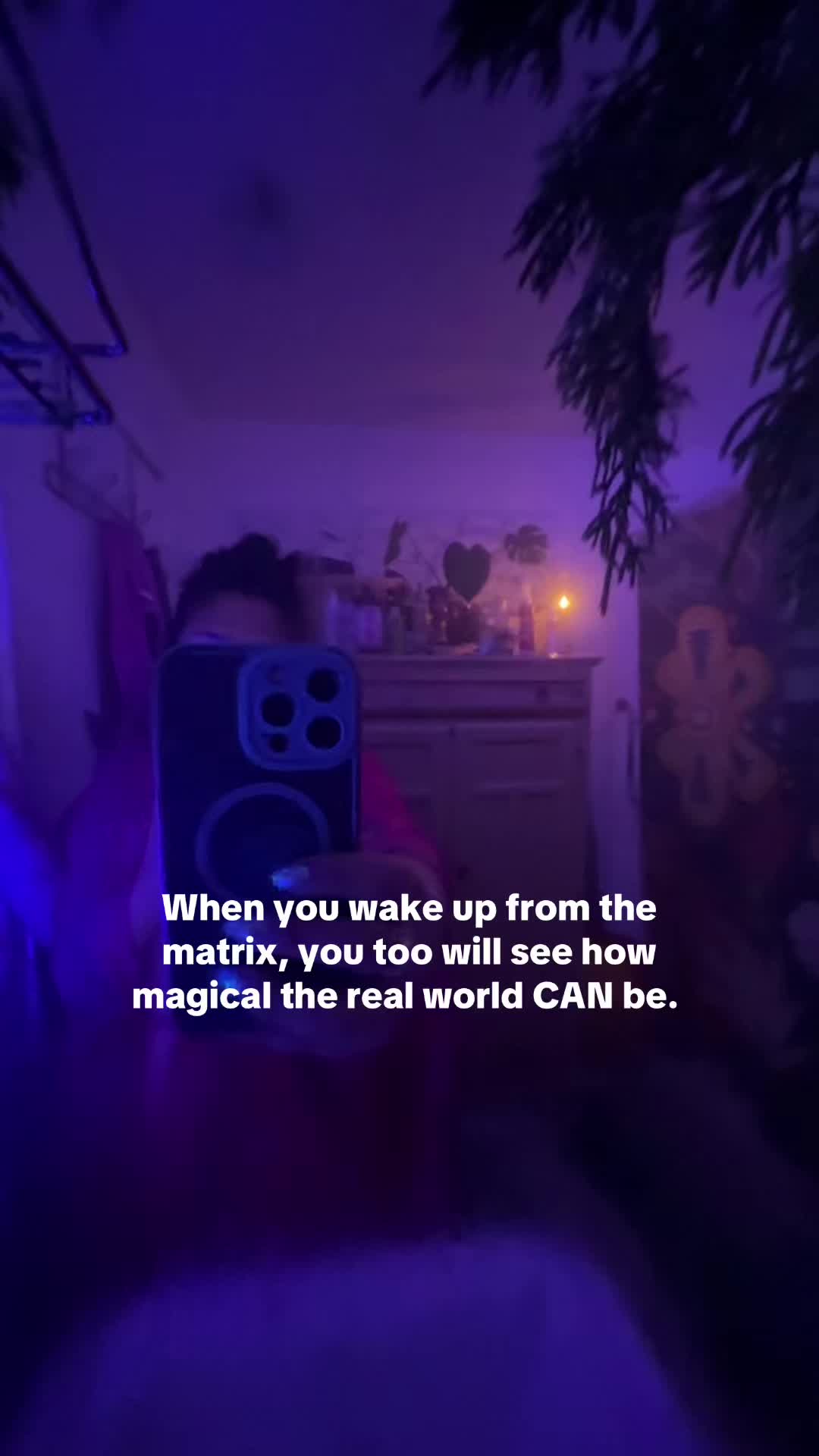 @not.feralsara