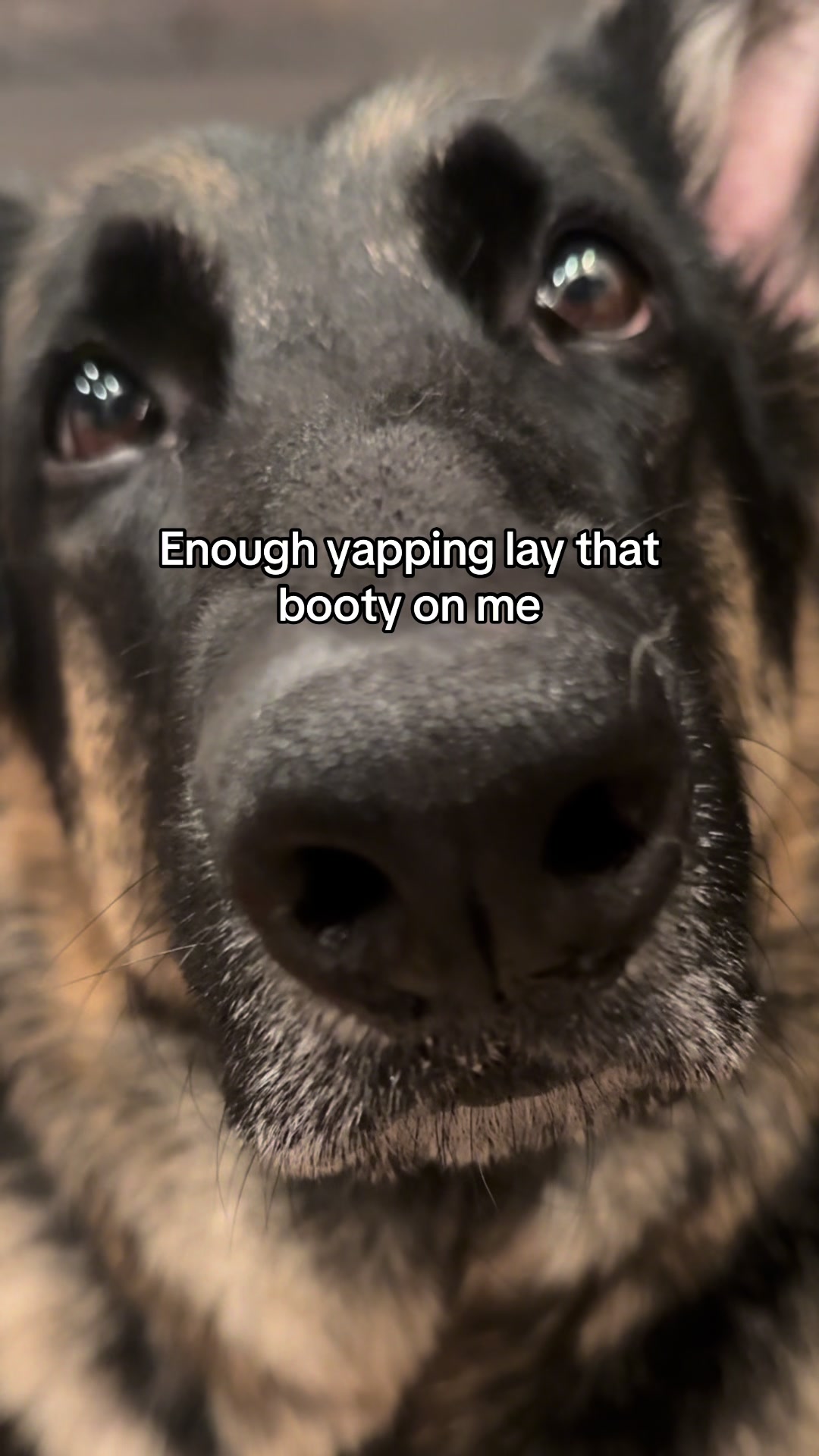 @Bhris