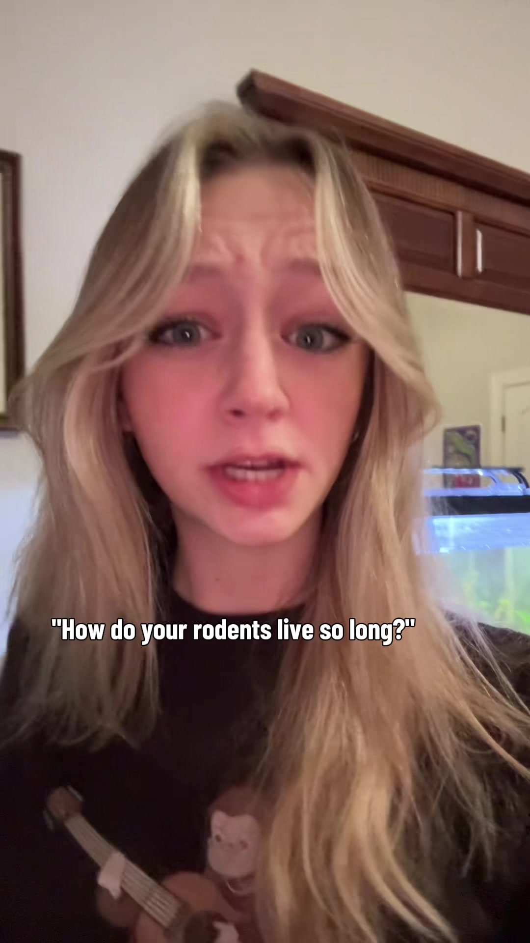 @thatweirdanimalgirl