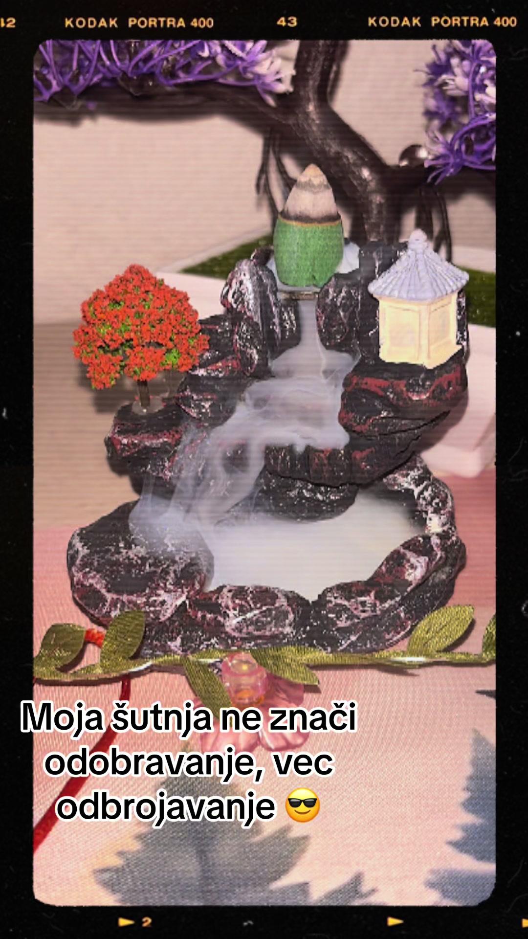 @Danijela