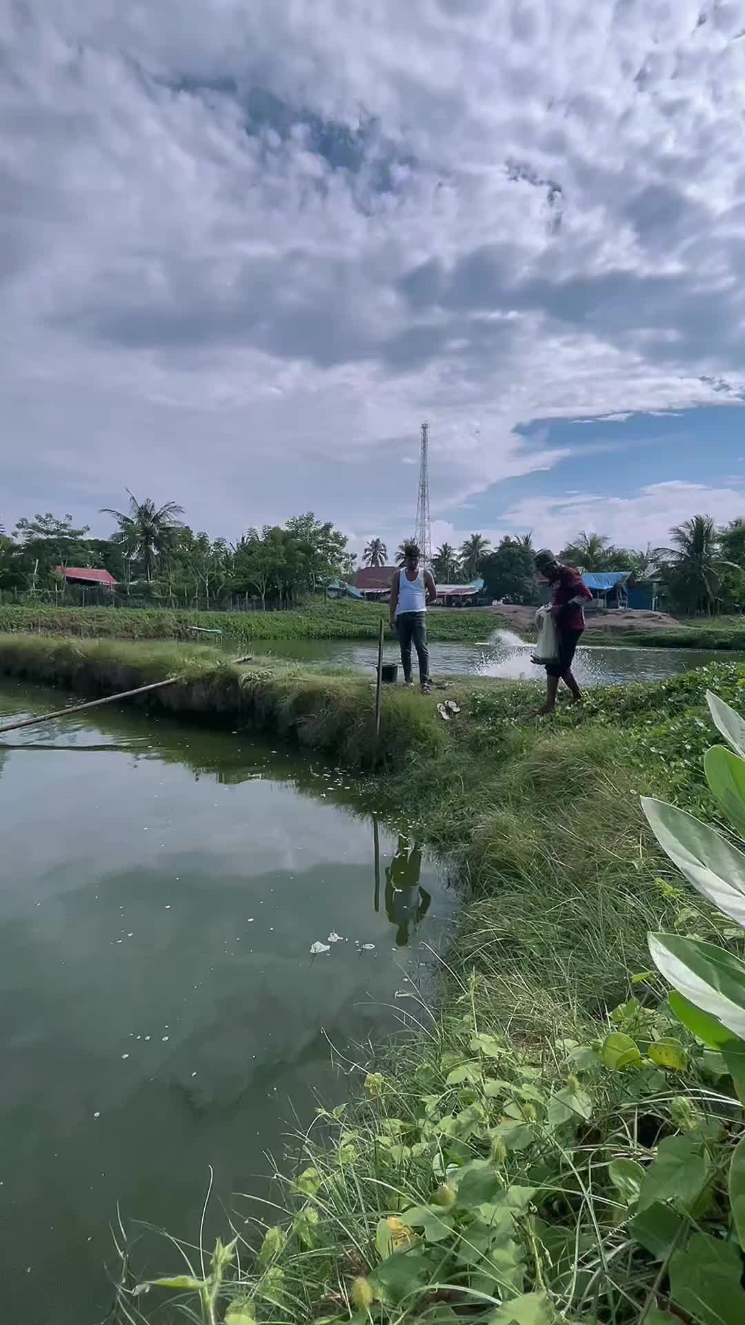 @Mirzafirdaus00
