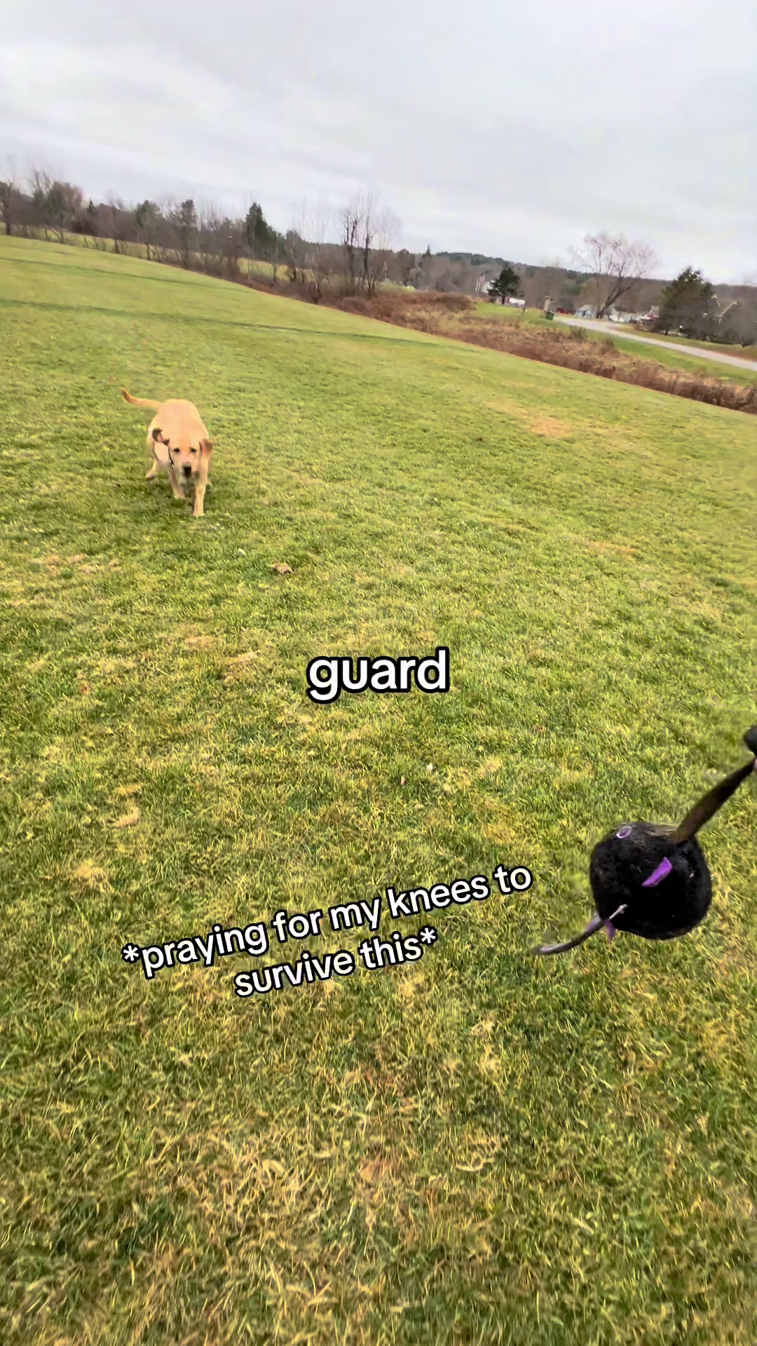 @K9 Obi-Wan, Ahsoka & Rex