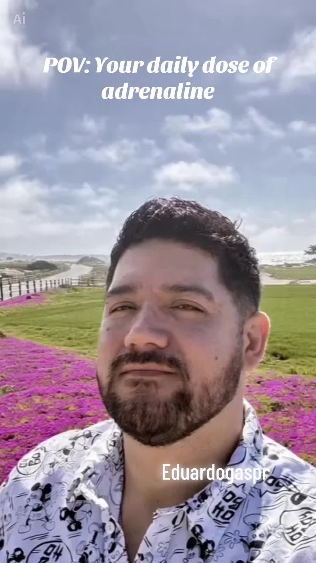 @Eduardo Gaspar