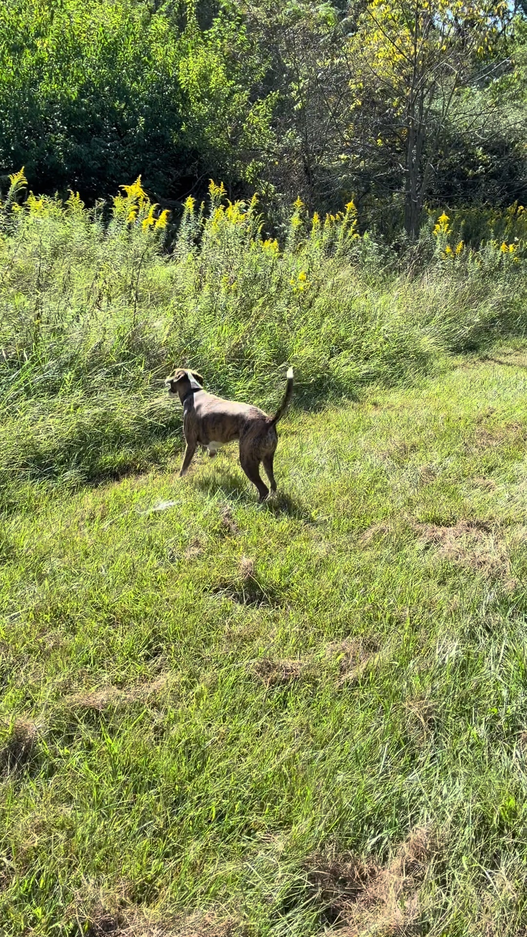 @Hikingwithstanley