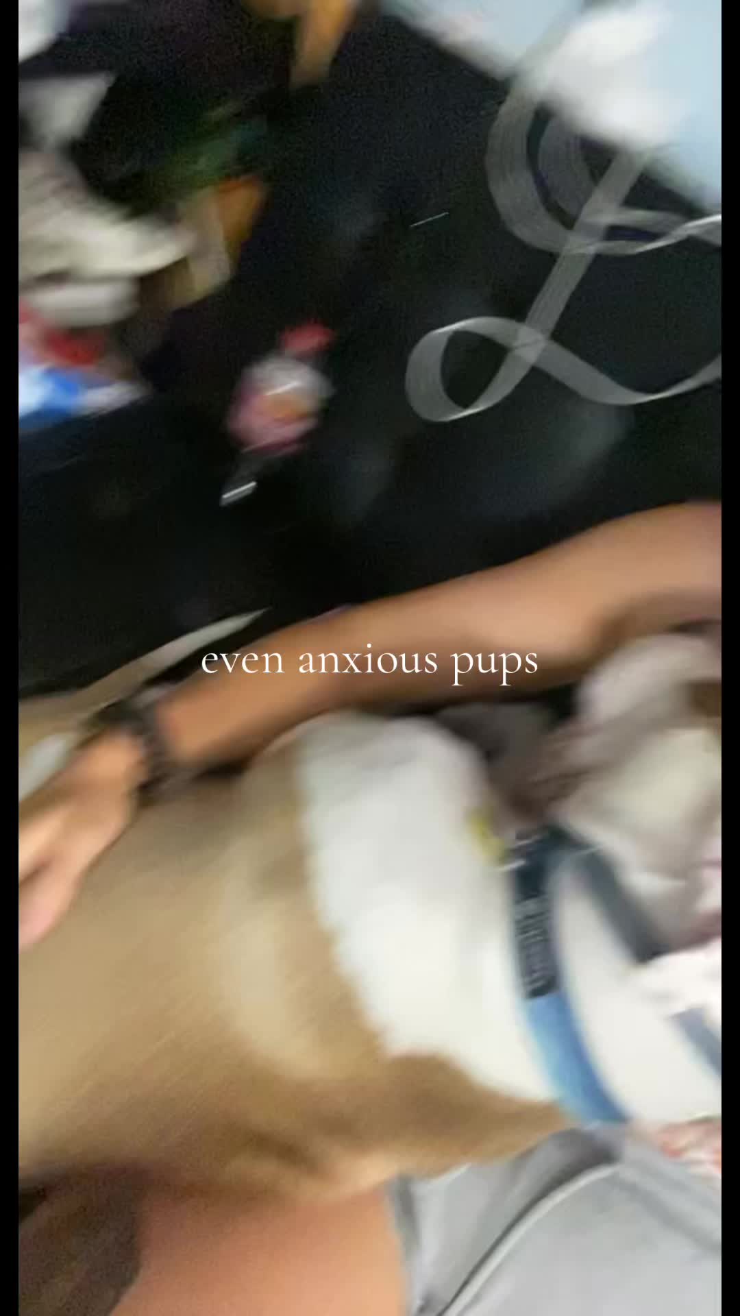 @meaghan.stafford