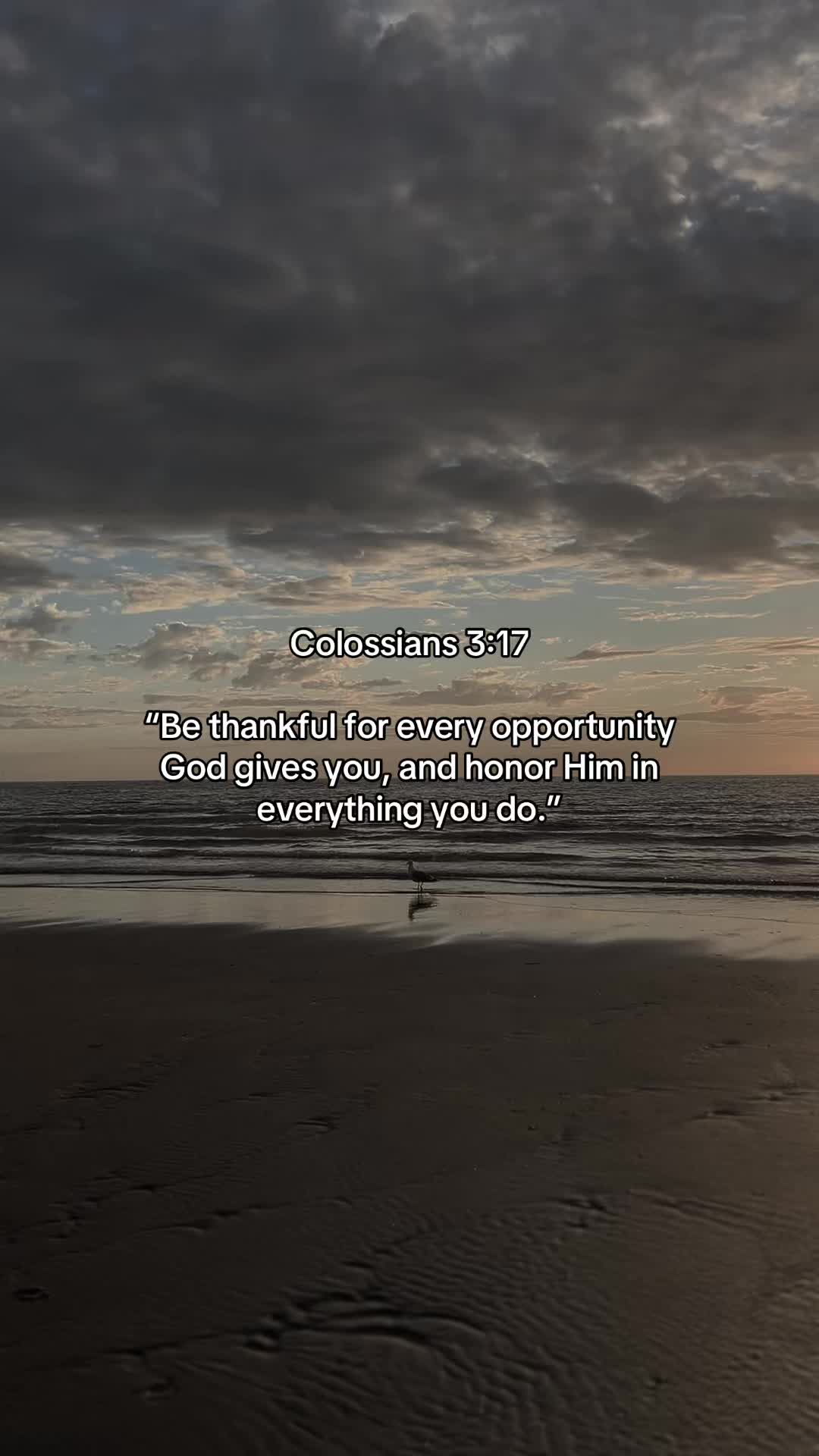 @Vibrant_Bible